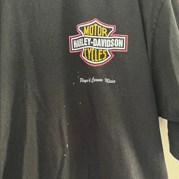 Harley-Davidson Black Tee with Tiger and Flames - Picture 3 of 5